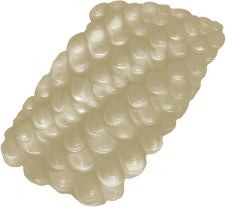 Isinglass
