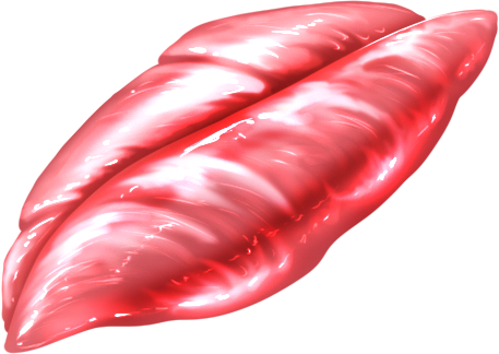 Tuna Fillet