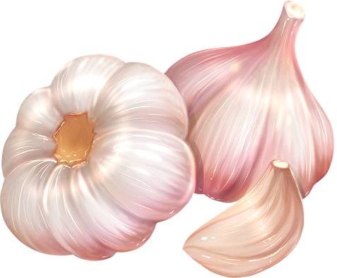 Garlic