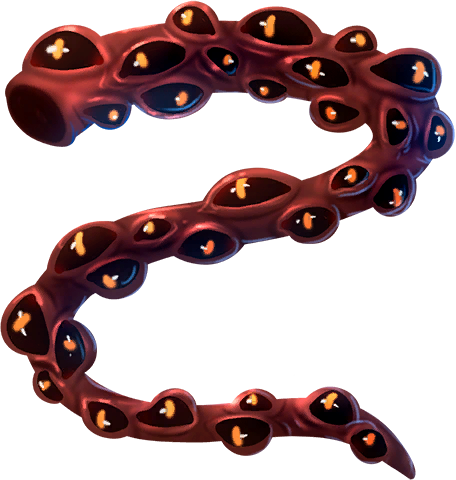 Calamari Calamity