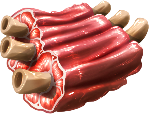 Venison