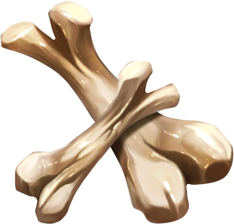 Large Animal Bones