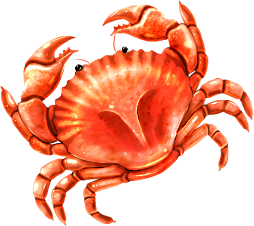 Carapace Collapse