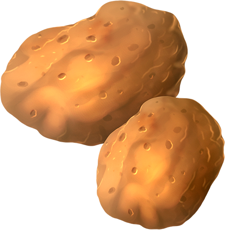 Potato