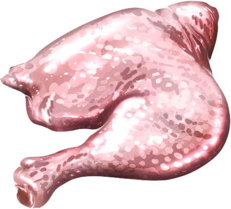 Poultry