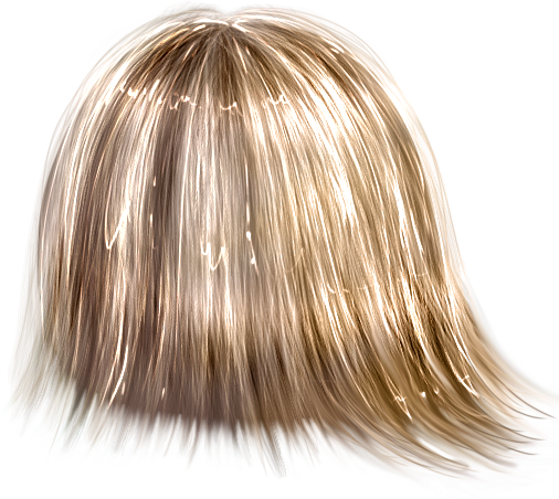 Bristles