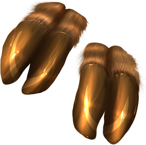 Hooves