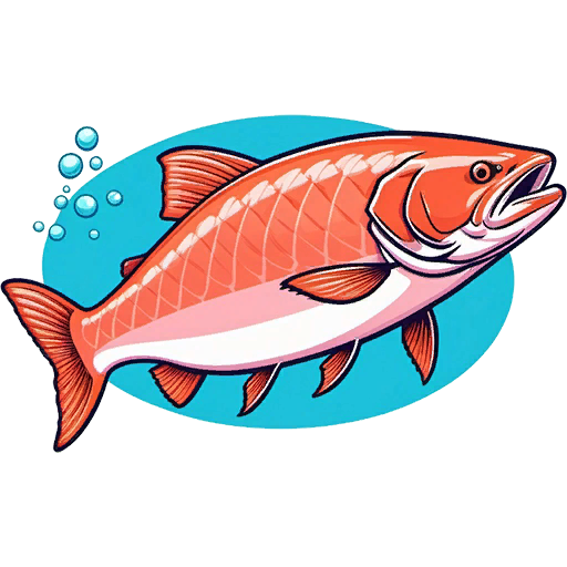 Salmon