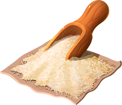 Rice